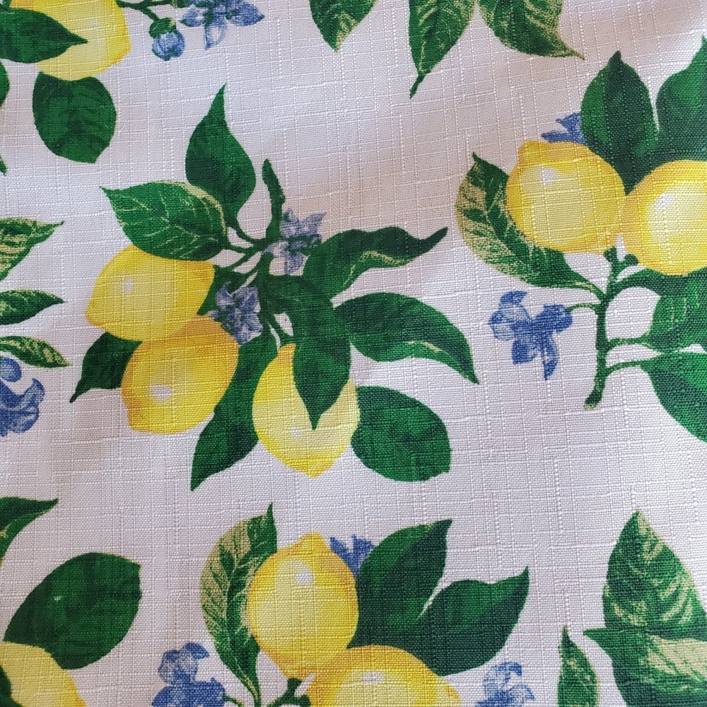 Home Collection Lemon Print Reversible Fabric Placemats Set of 6 Navy Blue 11x17